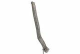 Fossil Sauropod Rib Section with Metal Stand - Colorado #339994-1